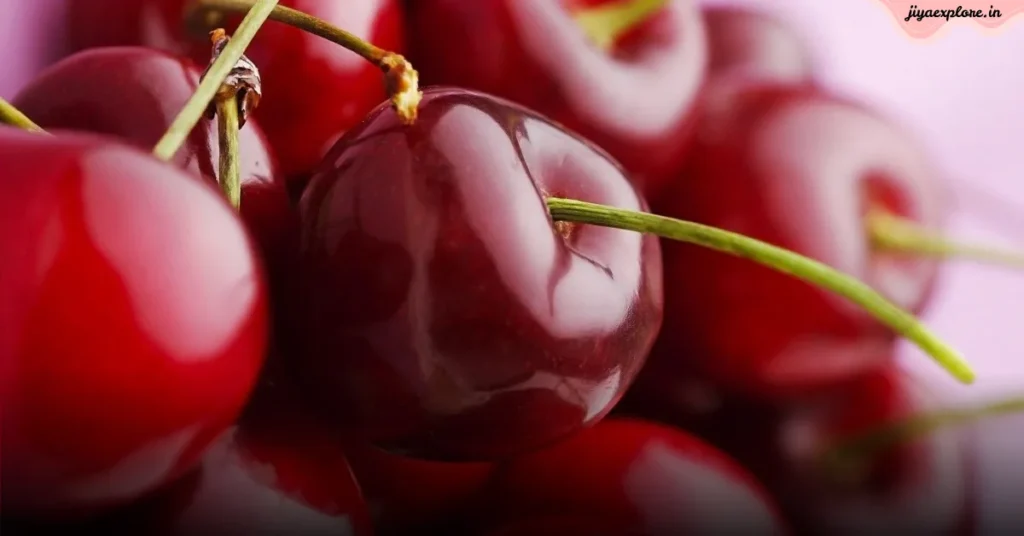 चाइनीज चेरी के फायदे: 50,000 की एक्स्ट्रा कमाई का ज़बरदस्त मौका! ये पौधा 20 साल तक देगा मीठा मुनाफा 1 Copy of Untitled 5